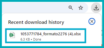 REPORTEEXCEL.png